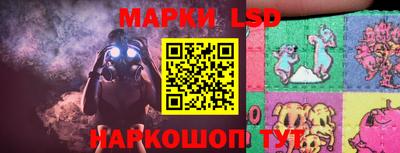 apvp Нальчик