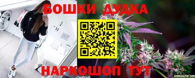apvp Нальчик