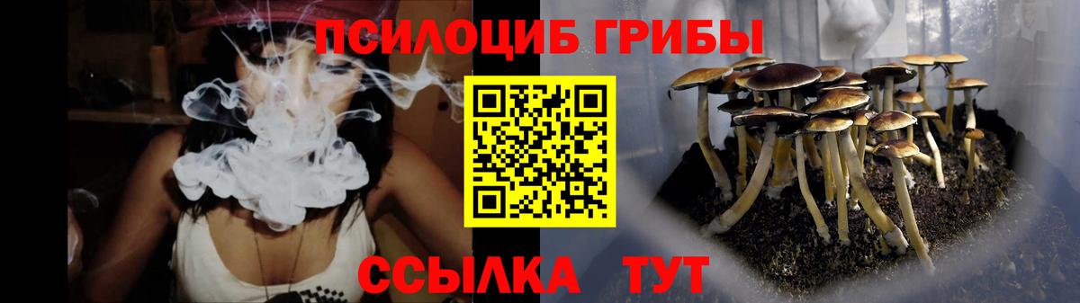 Псилоцибиновые грибы мицелий Воронеж